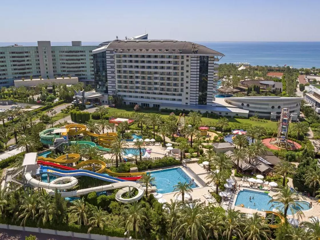 ROYALWING_SHABAVIZ (3).jpg